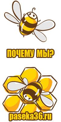 Рамка для пчёл дадан